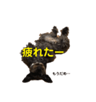 木村家のわかめ2（個別スタンプ：7）