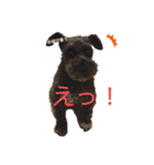木村家のわかめ2（個別スタンプ：8）