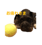木村家のわかめ2（個別スタンプ：9）