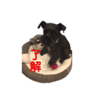 木村家のわかめ2（個別スタンプ：14）