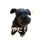 木村家のわかめ2（個別スタンプ：15）