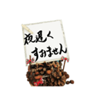 日常よく使う筆文字敬語（個別スタンプ：3）
