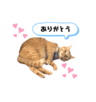 にゃんくんpart1（個別スタンプ：4）