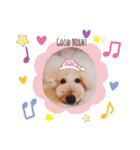 Happy Neige スタンプーネージュたん（個別スタンプ：1）