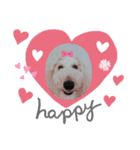 Happy Neige スタンプーネージュたん（個別スタンプ：2）