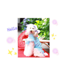 Happy Neige スタンプーネージュたん（個別スタンプ：5）