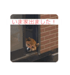 アキたん♡2（個別スタンプ：10）