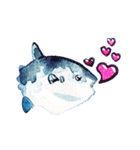 魚と仲間（個別スタンプ：5）