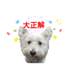 白犬ウエスティのスタンプです③（個別スタンプ：28）