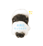 ダックス とパンダ（個別スタンプ：7）