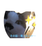 マチルダスタンプ1（個別スタンプ：2）