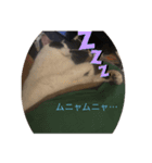 マチルダスタンプ1（個別スタンプ：4）