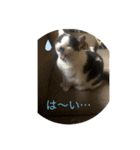 マチルダスタンプ1（個別スタンプ：7）