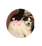 マチルダスタンプ1（個別スタンプ：8）