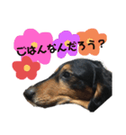 くぴちゃんスタンプ（個別スタンプ：3）