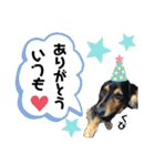 くぴちゃんスタンプ（個別スタンプ：6）