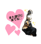 くぴちゃんスタンプ（個別スタンプ：11）