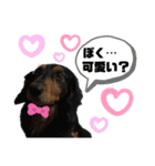 くぴちゃんスタンプ（個別スタンプ：18）