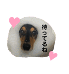 くぴちゃんスタンプ（個別スタンプ：24）