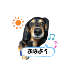 くぴちゃんスタンプ（個別スタンプ：29）