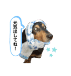 くぴちゃんスタンプ（個別スタンプ：30）