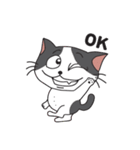 猫のツチくん（個別スタンプ：1）
