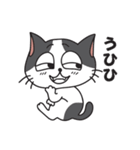 猫のツチくん（個別スタンプ：11）