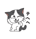 猫のツチくん（個別スタンプ：13）
