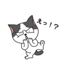 猫のツチくん（個別スタンプ：17）