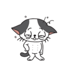 猫のツチくん（個別スタンプ：19）