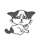 猫のツチくん（個別スタンプ：21）