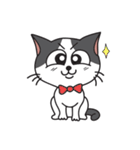 猫のツチくん（個別スタンプ：23）