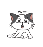 猫のツチくん（個別スタンプ：28）