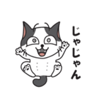 猫のツチくん（個別スタンプ：30）