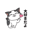 猫のツチくん（個別スタンプ：31）