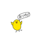 ヒヨコときどきニワトリ（個別スタンプ：11）