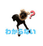 うちのバカ犬（個別スタンプ：23）