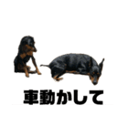 うちのバカ犬（個別スタンプ：30）