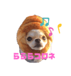 犬祭り 2020.02（個別スタンプ：15）