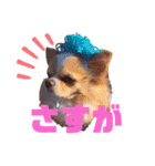犬祭り 2020.02（個別スタンプ：20）