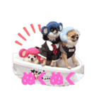 犬祭り 2020.02（個別スタンプ：25）