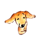 敬語犬 柴犬 ダックス 色鉛筆と水彩絵具（個別スタンプ：19）