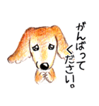 敬語犬 柴犬 ダックス 色鉛筆と水彩絵具（個別スタンプ：31）
