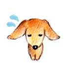 敬語犬 柴犬 ダックス 色鉛筆と水彩絵具（個別スタンプ：32）
