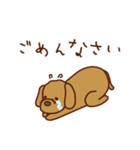 わんこな日常（個別スタンプ：22）
