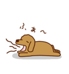 わんこな日常（個別スタンプ：27）