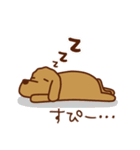 わんこな日常（個別スタンプ：28）