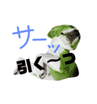 ビーグル犬 ほたる⑥（個別スタンプ：6）
