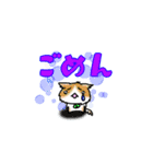 ちょっとしたゲームで使う猫のスタンプ（個別スタンプ：5）
