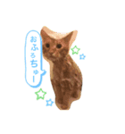 みゅーん きゃー2（個別スタンプ：2）